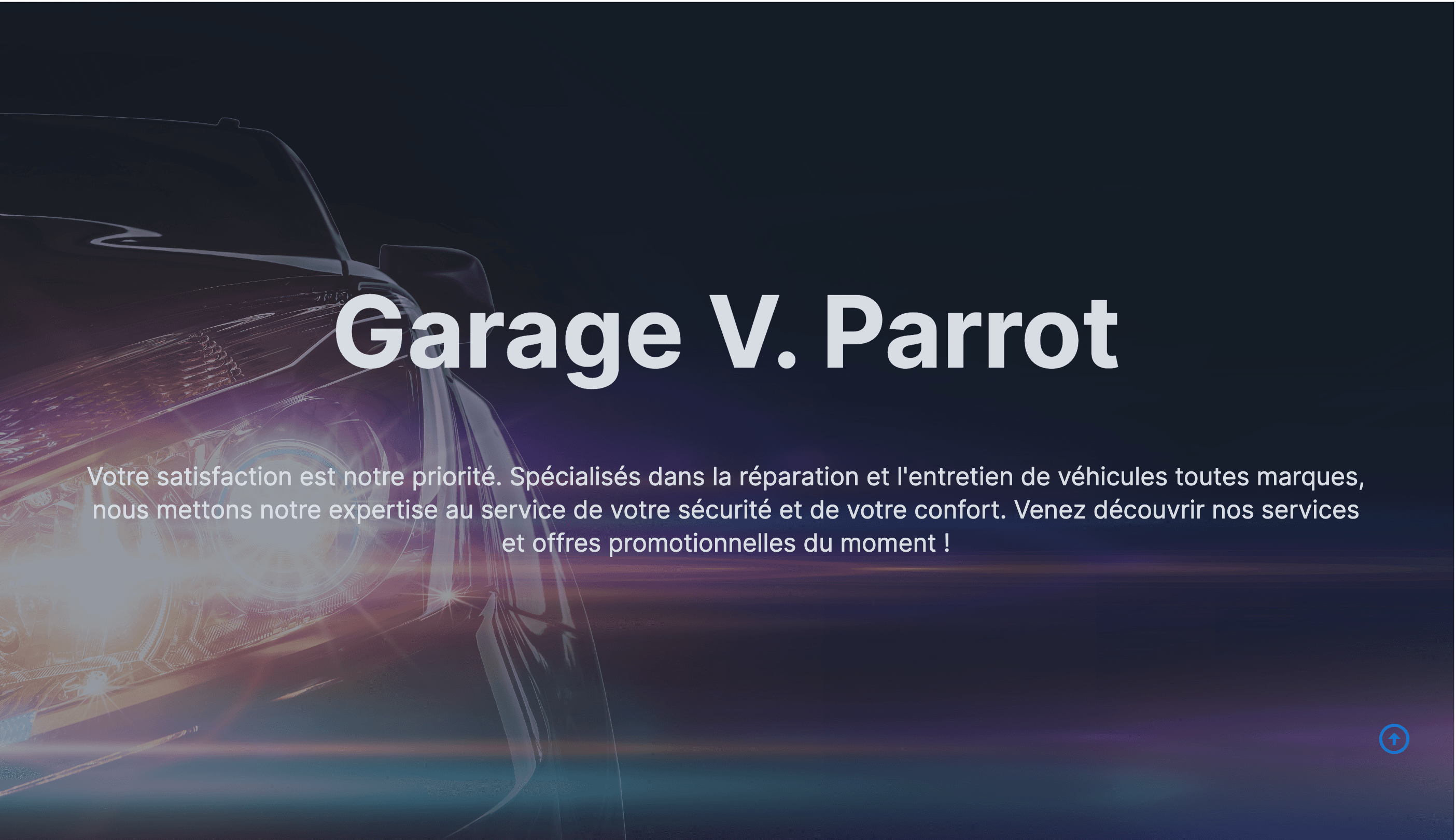 VParrot preview